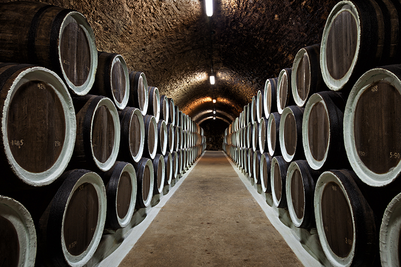 Warehoused barrels in the wine cellar